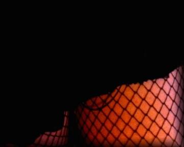 Foto pública de Zia_Elga