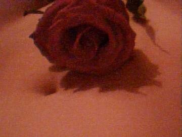 Public Photo of xxbimbasexx