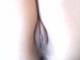 pussy 3