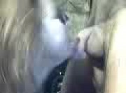 Amateur Video of LaSophia