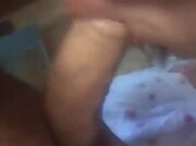 Amateur Video of Lily_cream